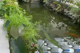 Spacious Stay Luxury Suites &amp; Airbnb