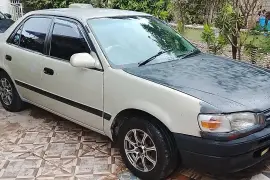 Toyota Corolla 1996