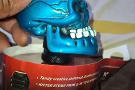 Universal skull shift knob