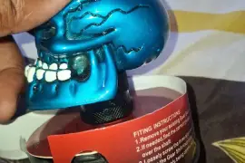 Universal skull shift knob