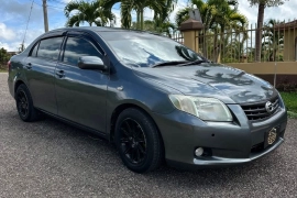 2010 Toyota Axio (2WD)