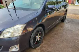 2013 Premio Runs Good