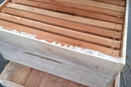 1 bee box, 1 complete bee suit (xl)