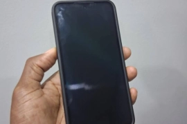 Samsung Galaxy A55 (5G)