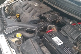 Blue Bird Nissan 2006