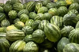 Watermelon