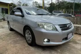 2011 Toyota Axio X