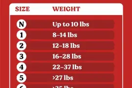 Huggies Diapers (Size 1-6)