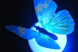 Creative Butterfly Night Light Decoration