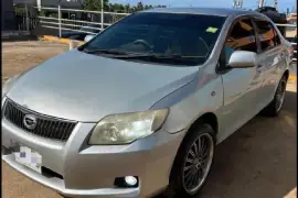 2010 Toyota Corolla Axio