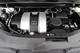  2020 Lexus RX 350 RX 350