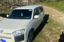 2019 Toyota Succeed/Probox