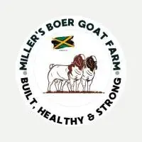 Miller's Boer Goat Farm